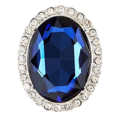 Princess Diana faux sapphire clip earrings - Kensington Palace jewellery