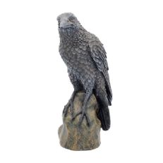 Raven Resting Ornament - A black raven sitting on a large rock